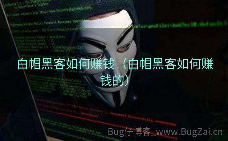 白帽黑客如何赚钱（白帽黑客如何赚钱的）