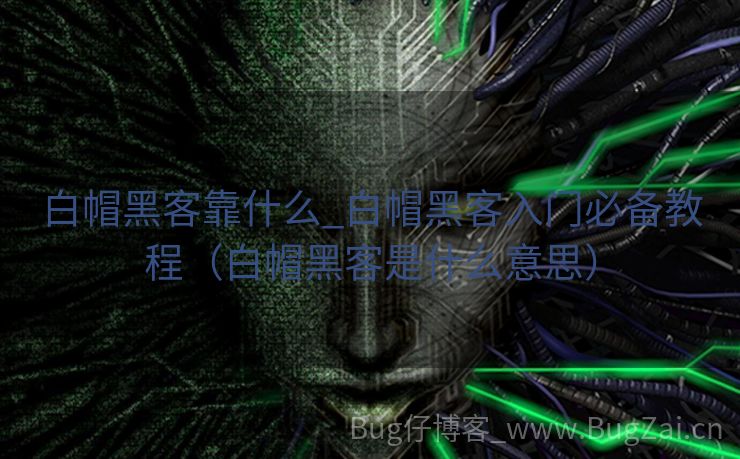 白帽黑客靠什么_白帽黑客入门必备教程（白帽黑客是什么意思）