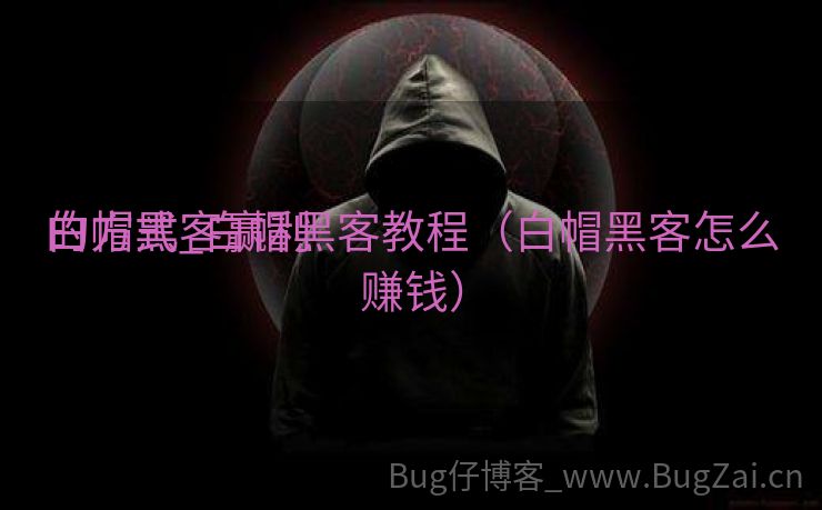 白帽黑客赢利
的方式_白帽黑客教程（白帽黑客怎么赚钱）