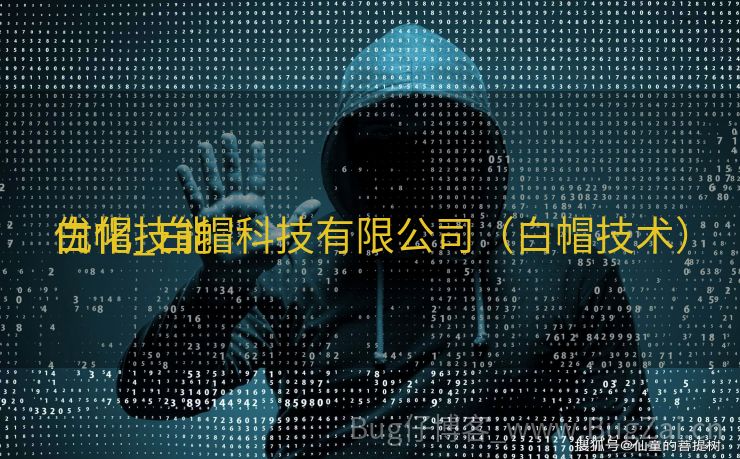 白帽技能
优化_白帽科技有限公司（白帽技术）