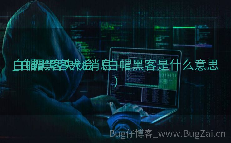 白帽黑客央视消息
_白帽黑客大会（白帽黑客是什么意思）