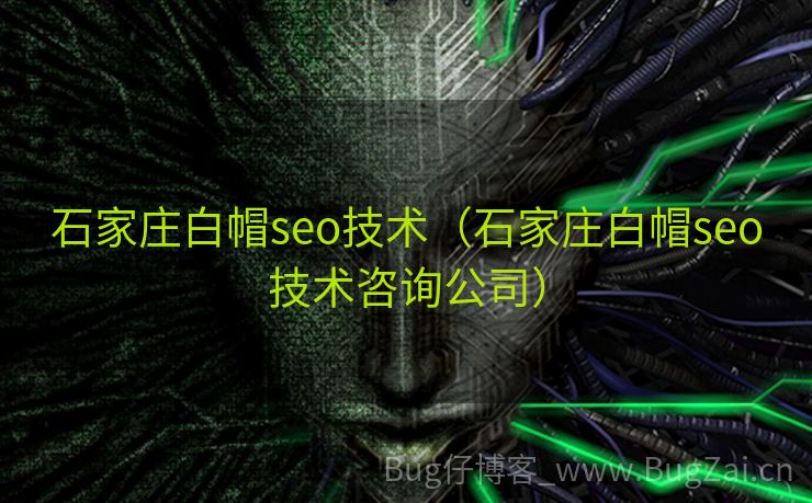 石家庄白帽seo技术（石家庄白帽seo技术咨询公司）