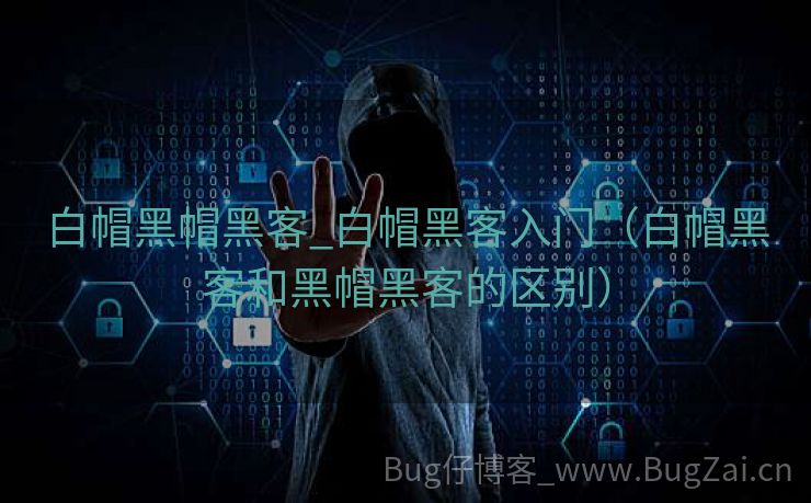 白帽黑帽黑客_白帽黑客入门（白帽黑客和黑帽黑客的区别）