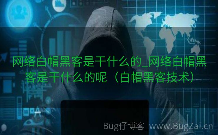 网络白帽黑客是干什么的_网络白帽黑客是干什么的呢（白帽黑客技术）