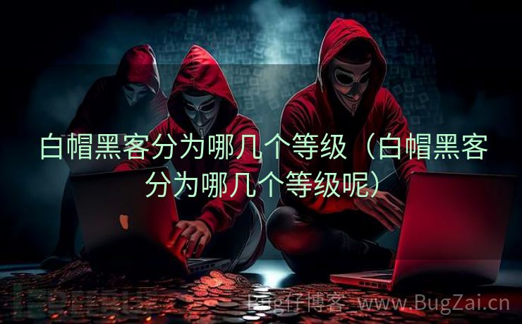 白帽黑客分为哪几个等级（白帽黑客分为哪几个等级呢）
