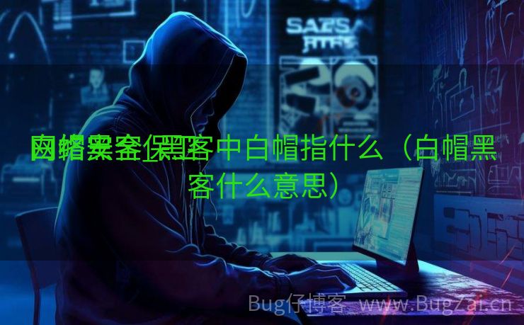 白帽黑客保卫
网络安全_黑客中白帽指什么（白帽黑客什么意思）