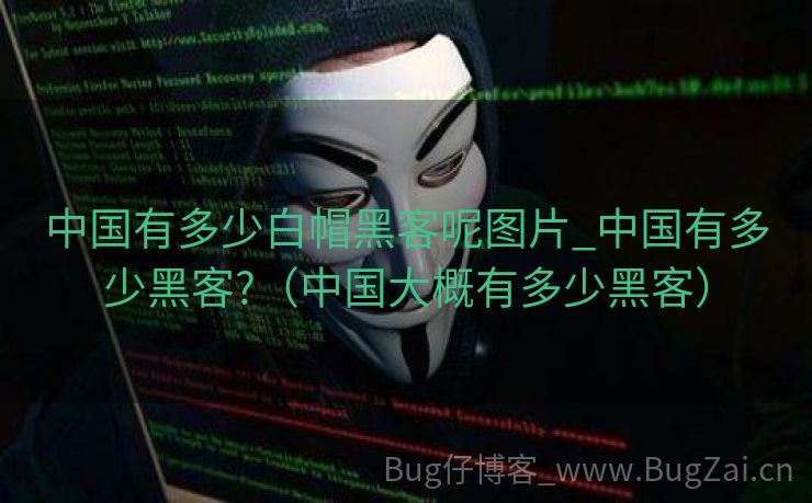 中国有多少白帽黑客呢图片_中国有多少黑客?（中国大概有多少黑客）