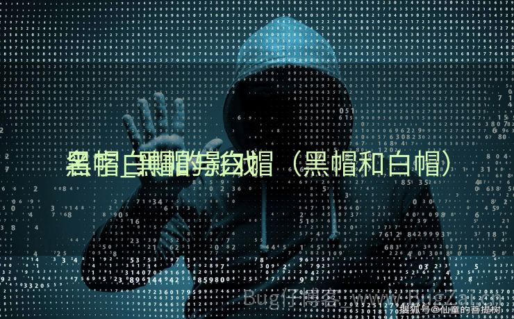 黑帽白帽的影戏
名字_黑帽与白帽（黑帽和白帽）