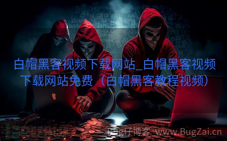 白帽黑客视频下载网站_白帽黑客视频下载网站免费（白帽黑客教程视频）