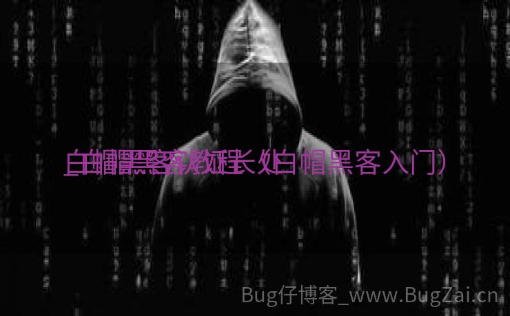 白帽黑客认证长处

_白帽黑客教程（白帽黑客入门）