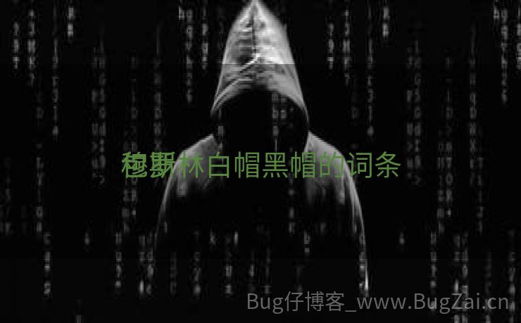 包罗
穆斯林白帽黑帽的词条