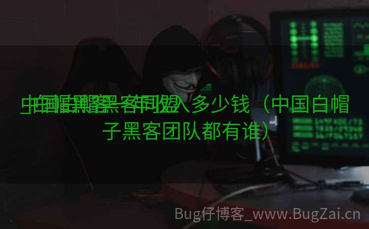 中国白帽黑客同盟
_白帽黑客一年收入多少钱（中国白帽子黑客团队都有谁）