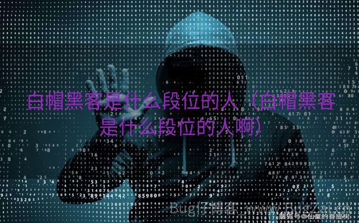 白帽黑客是什么段位的人（白帽黑客是什么段位的人啊）
