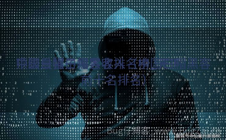 中国最强白帽黑客排名榜_天下
顶级白帽子黑客收入（中国白帽黑客前十名排名）