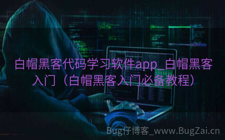 白帽黑客代码学习软件app_白帽黑客入门（白帽黑客入门必备教程）