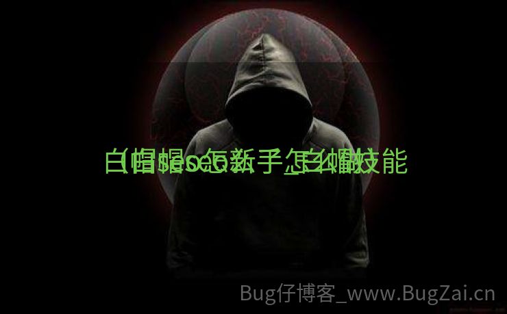 白帽seo怎么了_白帽技能
（白帽seo新手怎么做）