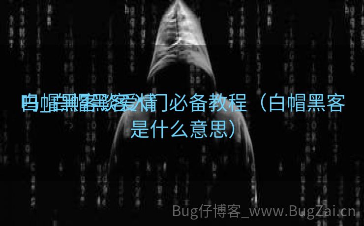 白帽黑客谈爱情
吗_白帽黑客入门必备教程（白帽黑客是什么意思）