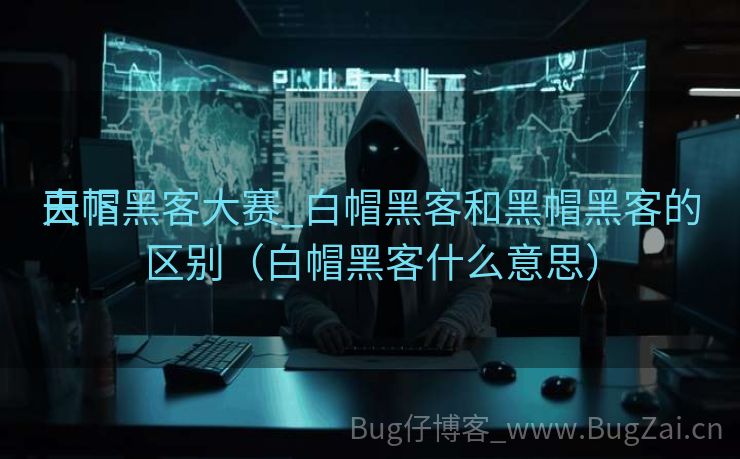 天下
白帽黑客大赛_白帽黑客和黑帽黑客的区别（白帽黑客什么意思）