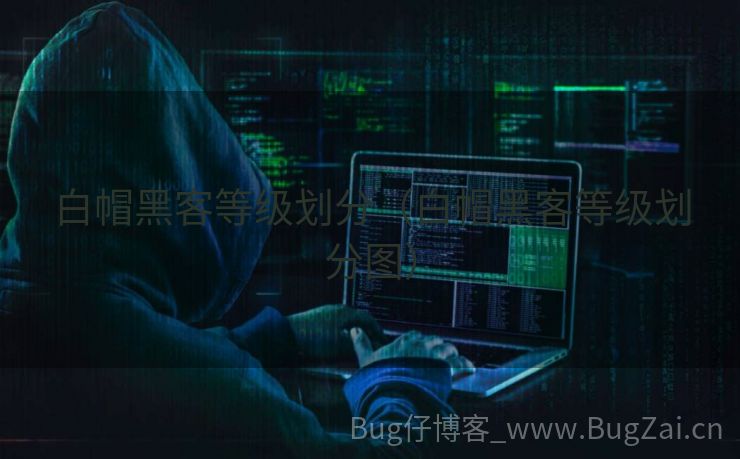 白帽黑客等级划分（白帽黑客等级划分图）