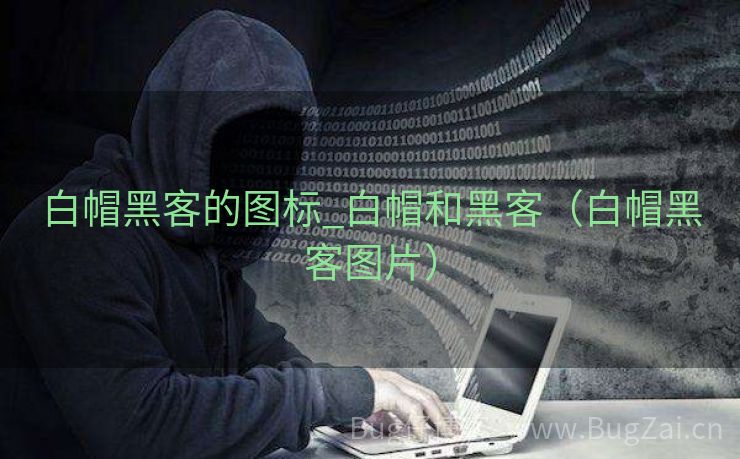 白帽黑客的图标_白帽和黑客（白帽黑客图片）