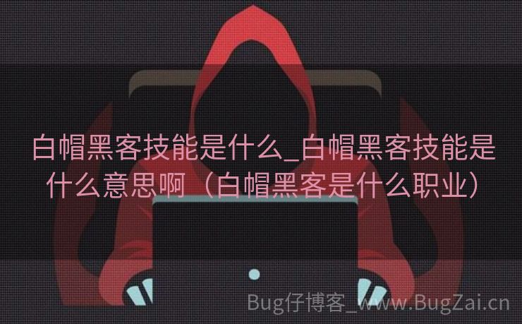白帽黑客技能是什么_白帽黑客技能是什么意思啊（白帽黑客是什么职业）