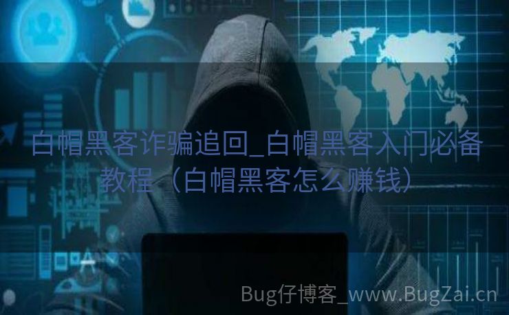 白帽黑客诈骗追回_白帽黑客入门必备教程（白帽黑客怎么赚钱）