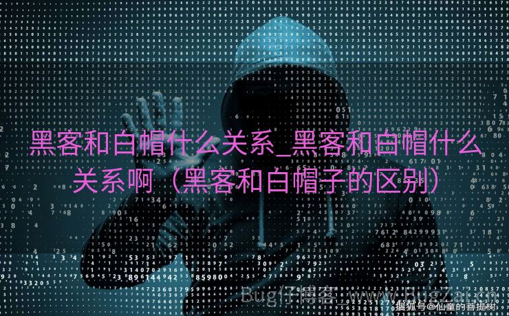黑客和白帽什么关系_黑客和白帽什么关系啊（黑客和白帽子的区别）